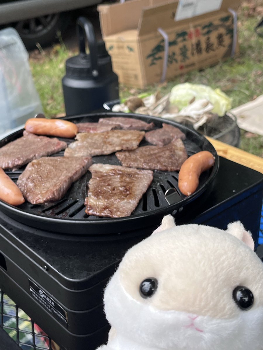 はむまる (@hamumaru_86) / Posts / X
