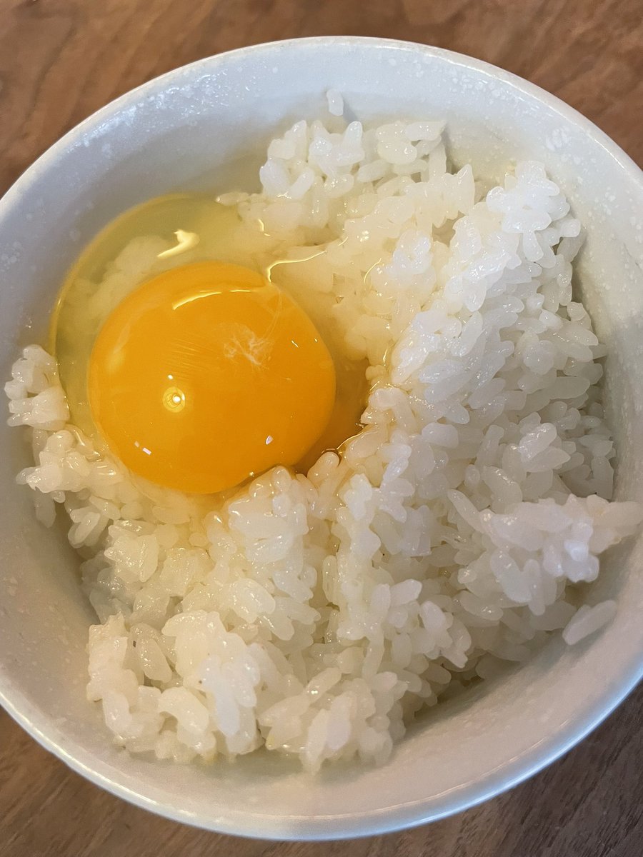 すが tweet media