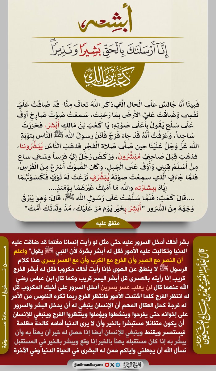 أضواء البيان tweet media