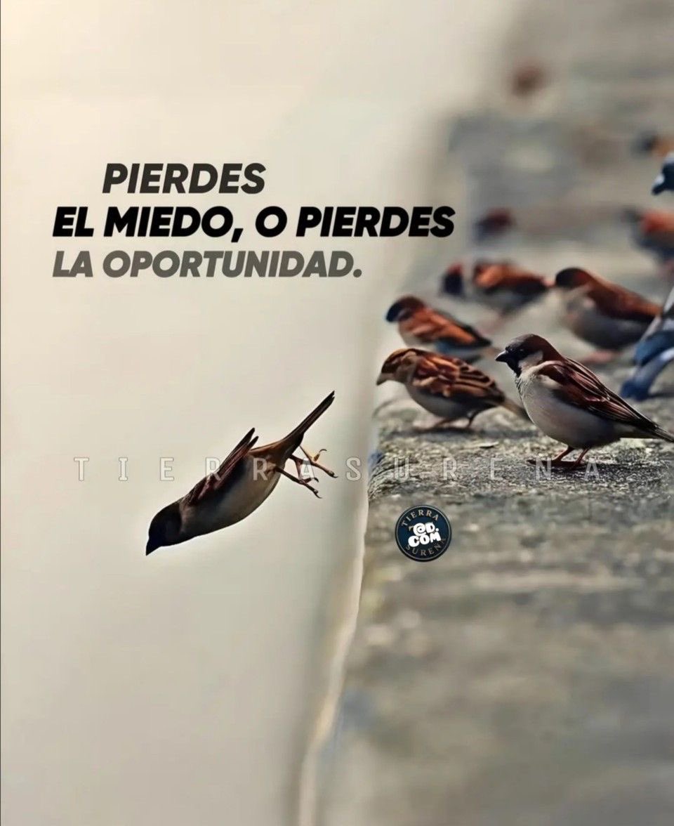 Disciplina tweet media