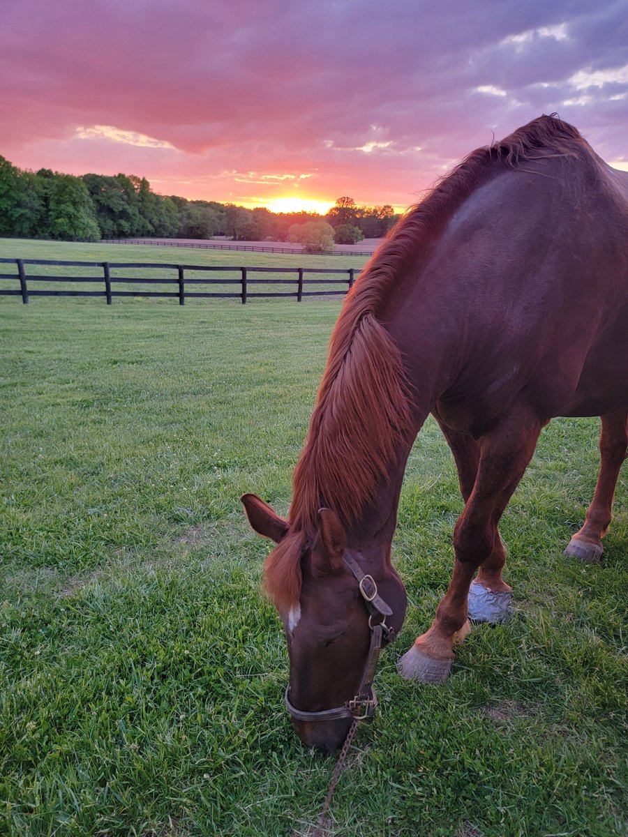 MSable2021's tweet photo. A beautiful end to Derby Day 2026 https://t.co/II8GshlcEy