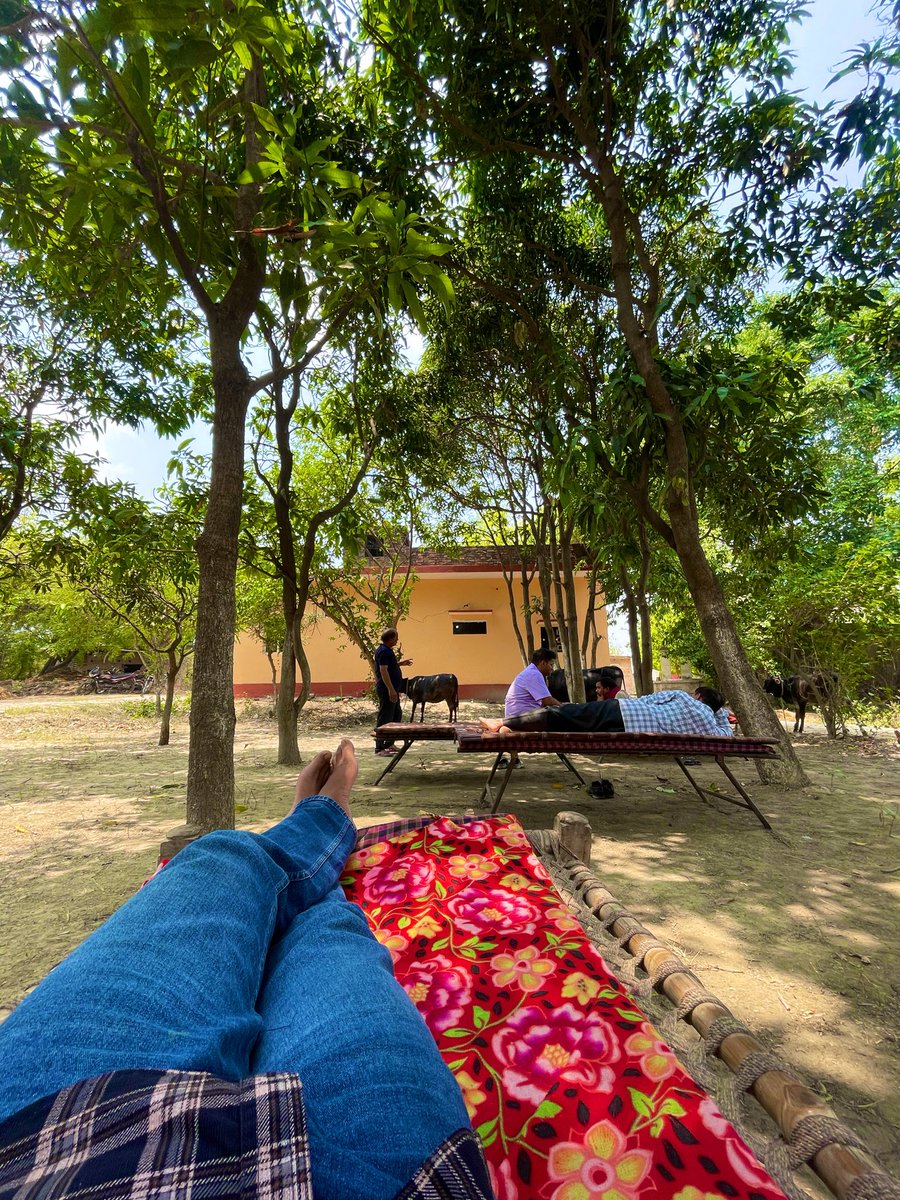 Anant__ojha's tweet image. Dayy in village 🍃✨ 
 
Village vibe’s 🧡

#village, #villagelife, #countryside, #rural, #villager, #villages #india ❤️