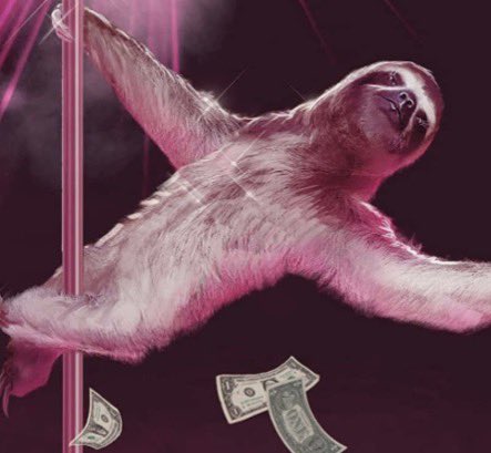 SleepySloth tweet media