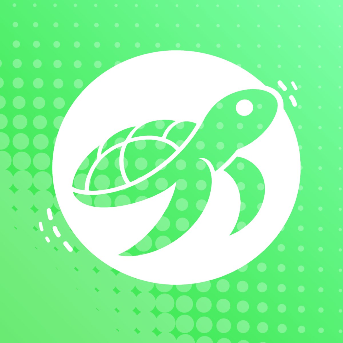 Turtle Club tweet media