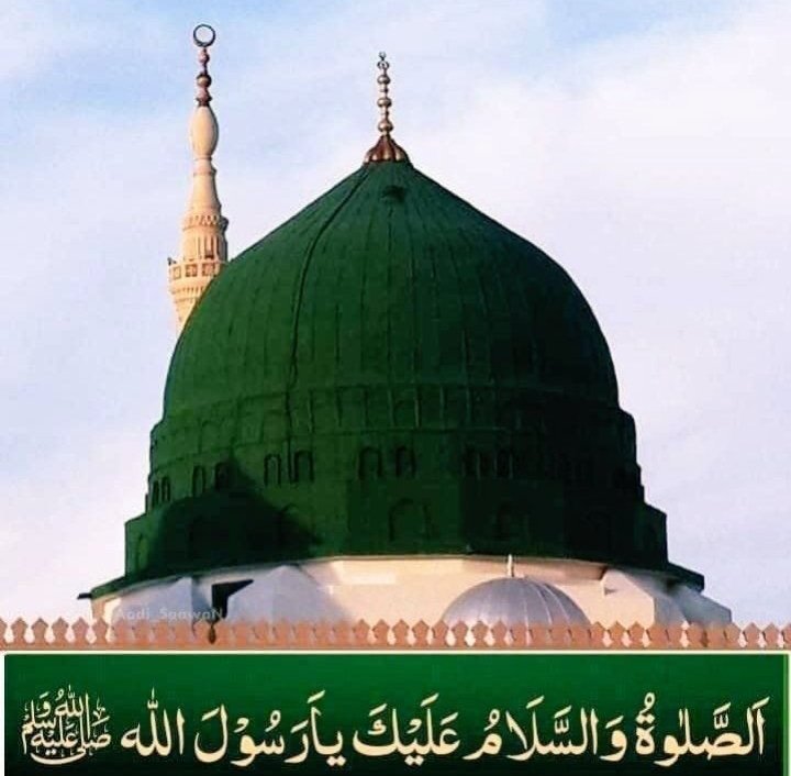 Zoha Malik tweet media