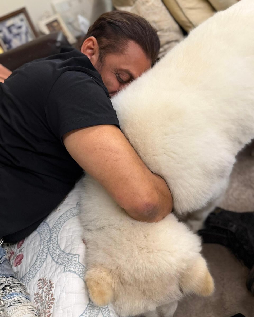 #InPics | <a href="/BeingSalmanKhan/">Salman Khan</a> shared a heartwarming moment with his dog on social media, captioning it “Yeh hai sukh”, giving fans a glimpse of peace, companionship and simple joy.

#SalmanKhan #DogLove #Bollywood #ShowMO #IndiaTodaySocial