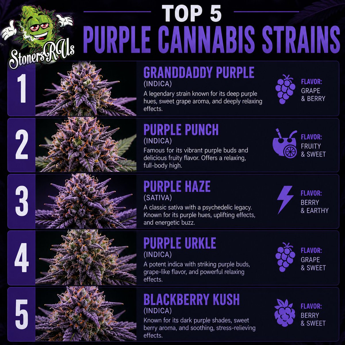 _StonersRUs_'s tweet photo. Top 5 purple strains 💜 https://t.co/5t24Wl2w48