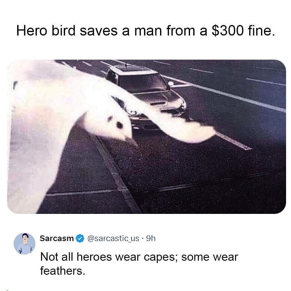 God tweet media