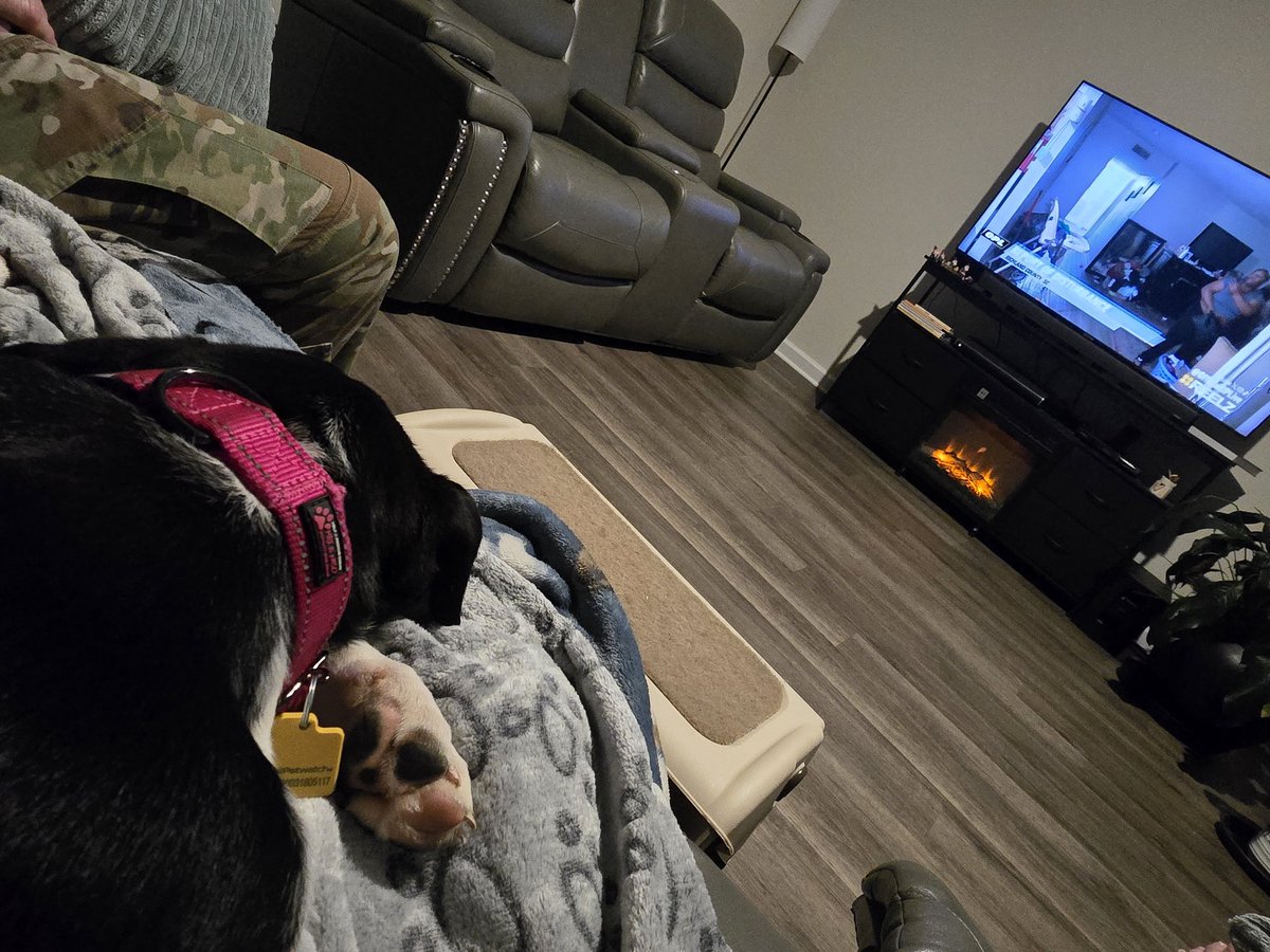iveglez's tweet photo. Taffy is watching our neighbors in Richland Co in @OfficialOPLive on @ReelzChannel! #OPLive #OPNation https://t.co/jVZgGDhe9o
