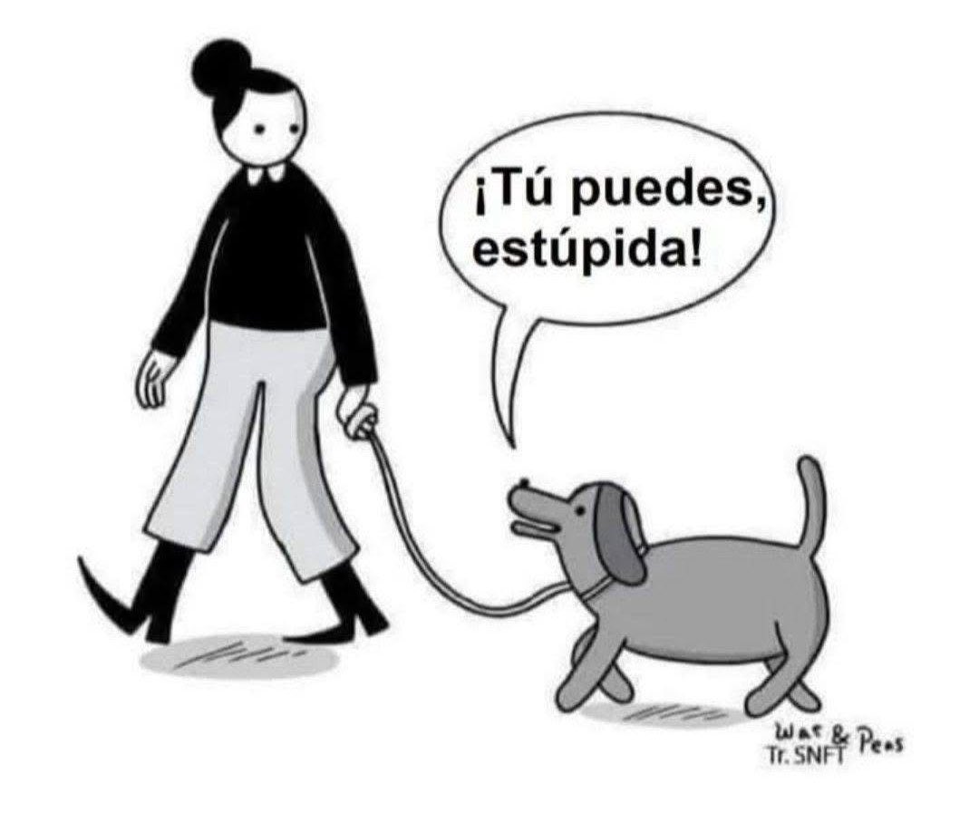 Dilo con perritos tweet media