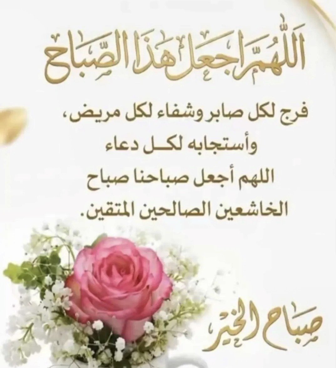 fatima tweet media