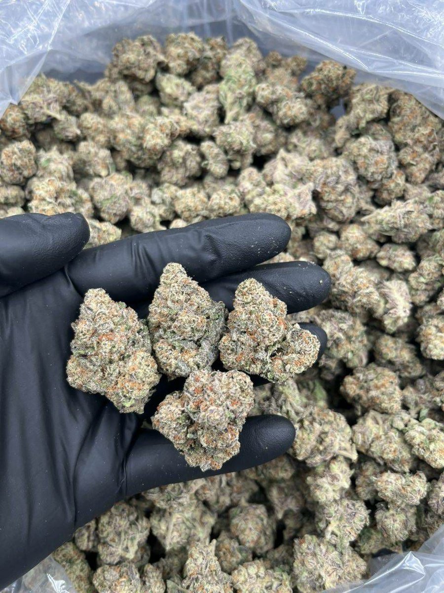 SUBX CANNABIS tweet media