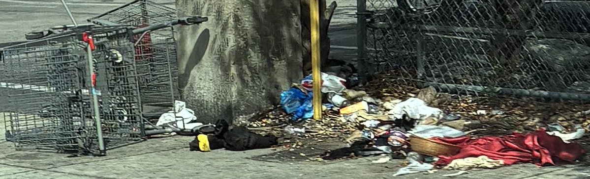 AdvocatesEA's tweet image. Easy bus stop #litter clean-up.  #ZeroWaste