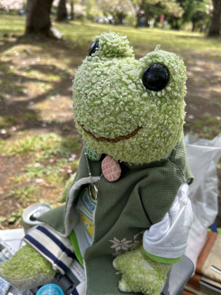 さい🐸 tweet media