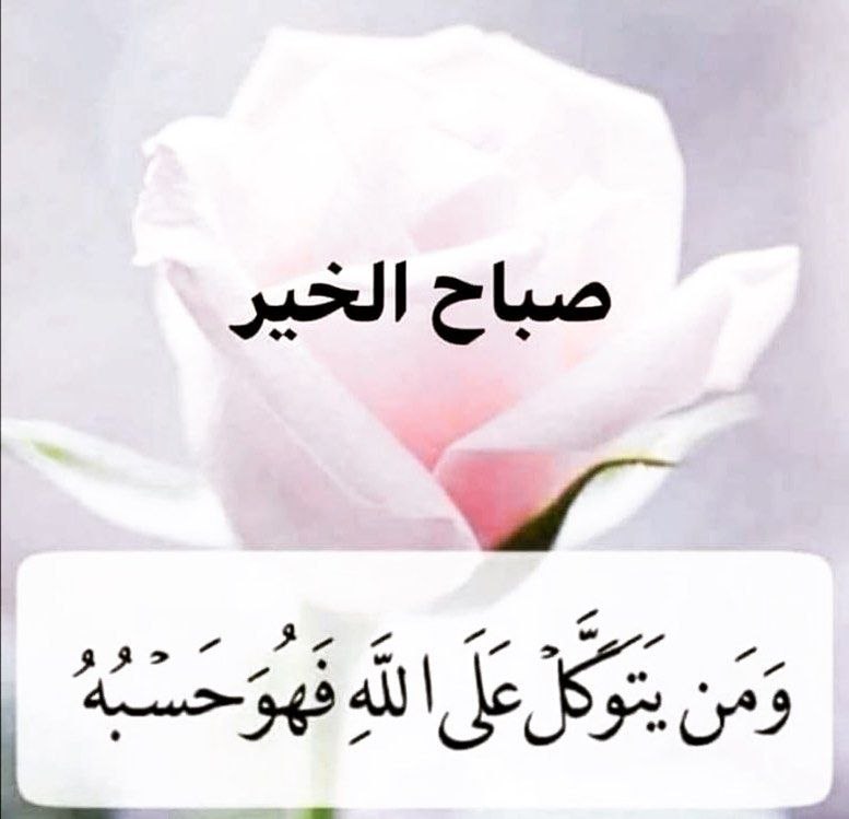 العروة الوثقى tweet media
