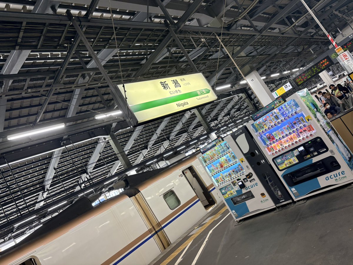 ぺるてぃ tweet media