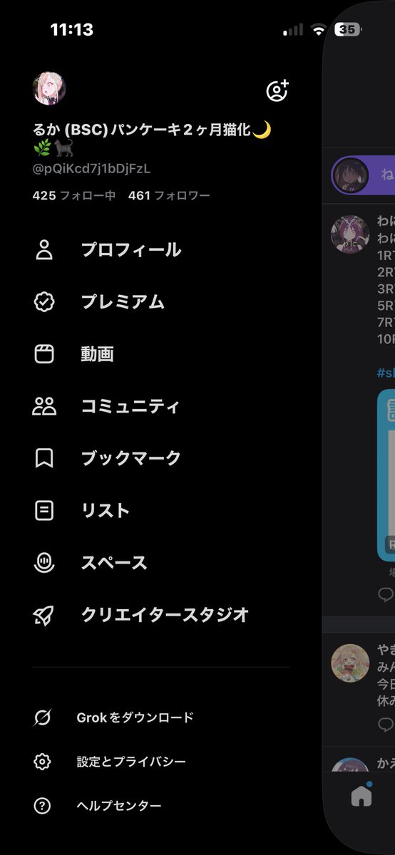 るか (BSC)パンケーキ2ヶ月猫化🩵🐊🌙🌿🐈‍⬛ tweet media