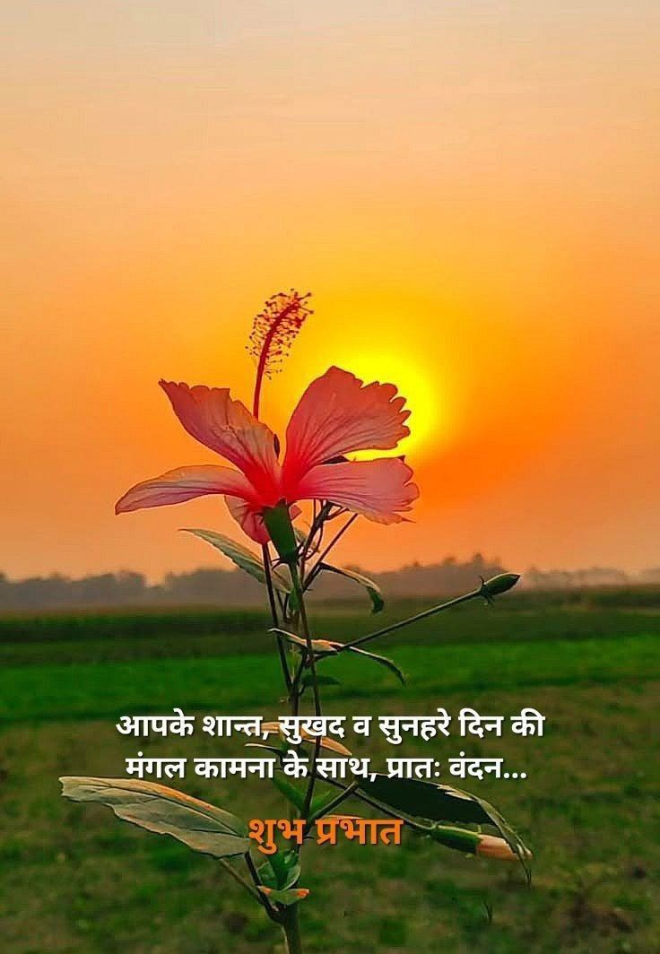 Good morning lovely friends 😊🥰