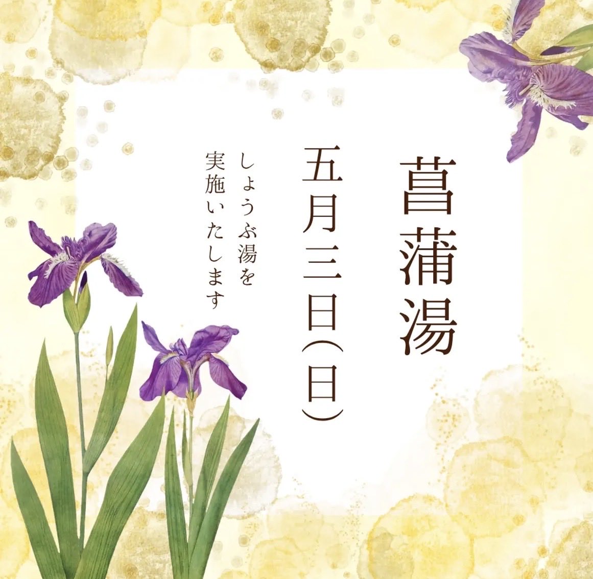尾道の銭湯 栗原温泉 tweet media