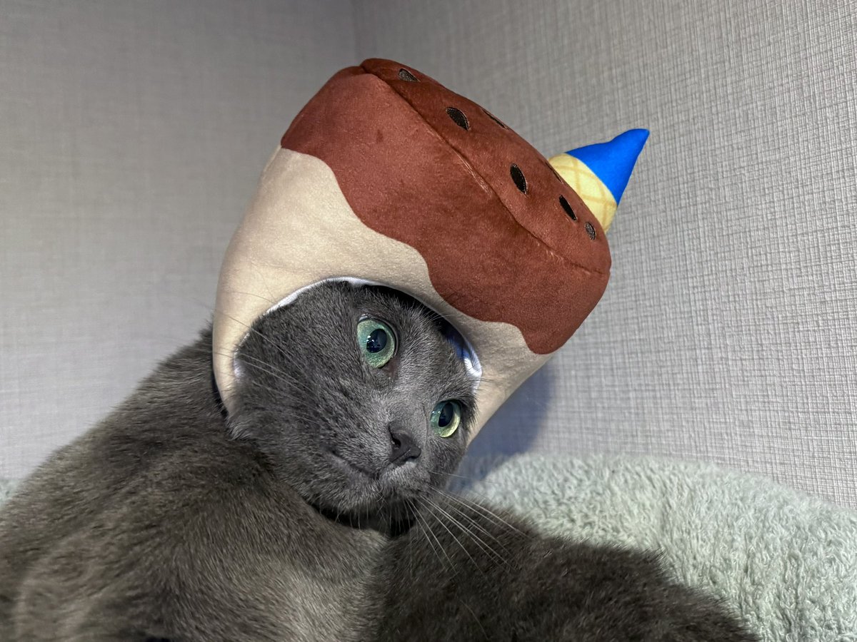 ミチル tweet media