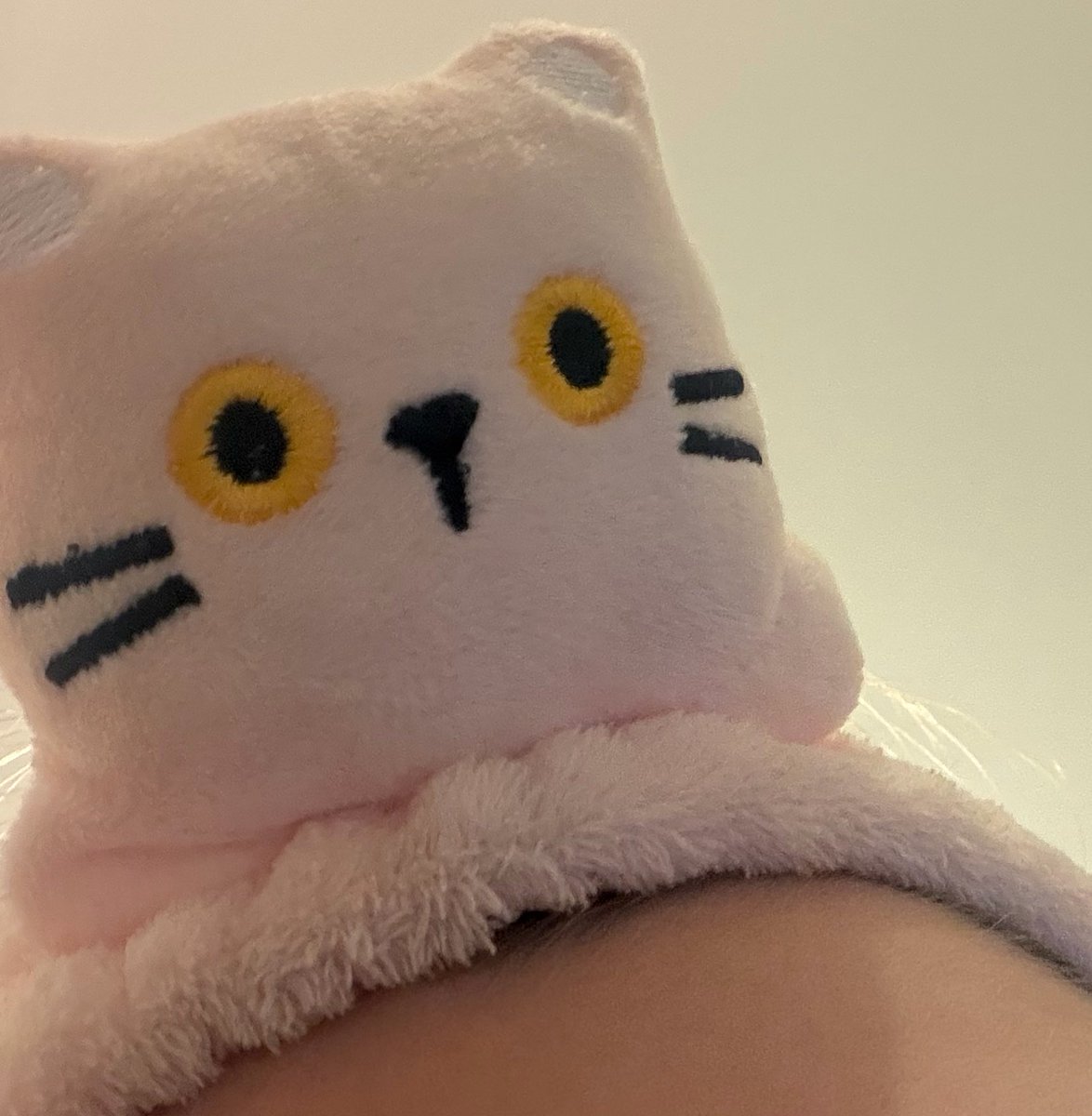 cat tweet media