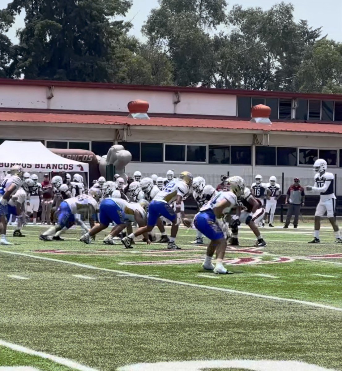 NorteGridiron tweet media