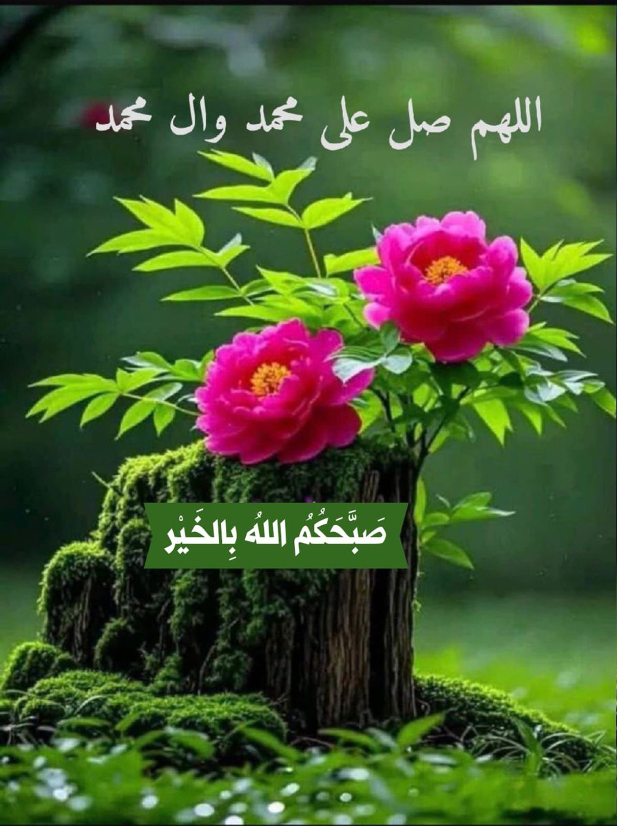 آلُِمهـندِس آلُِجٍآبَرٍي tweet media