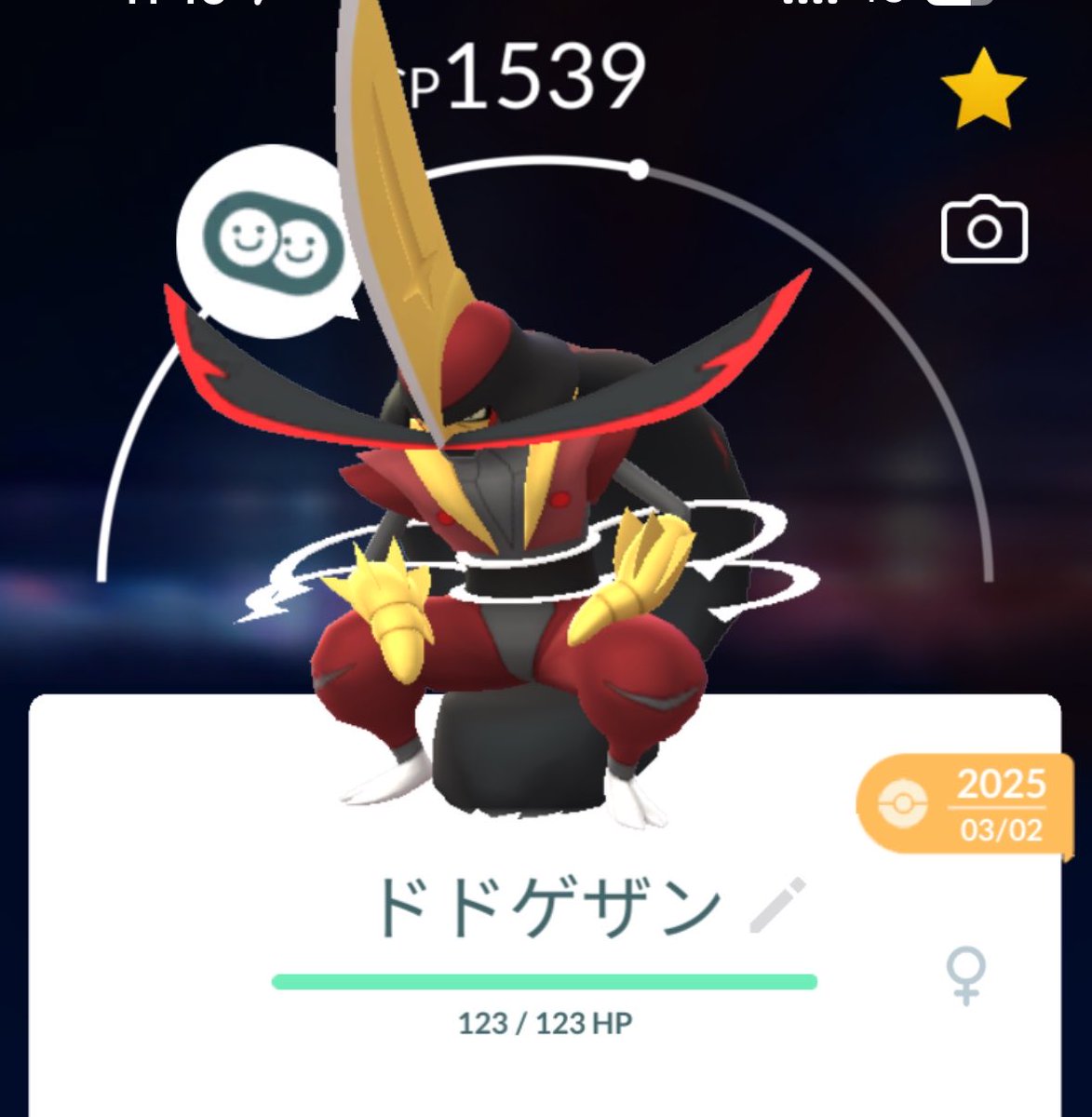ミロルナ&ボブコ tweet media
