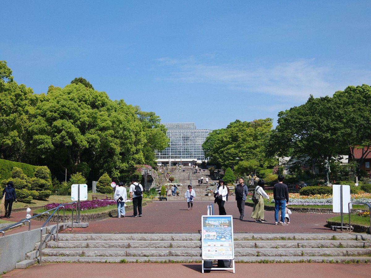 まこねこ tweet media