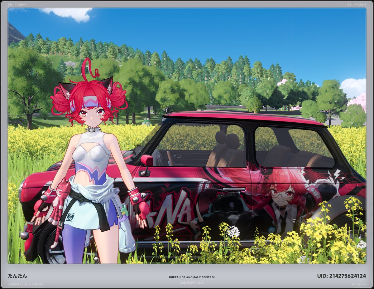 mmkk0515's tweet image. 車のスキンかわいくない？

 #NTE