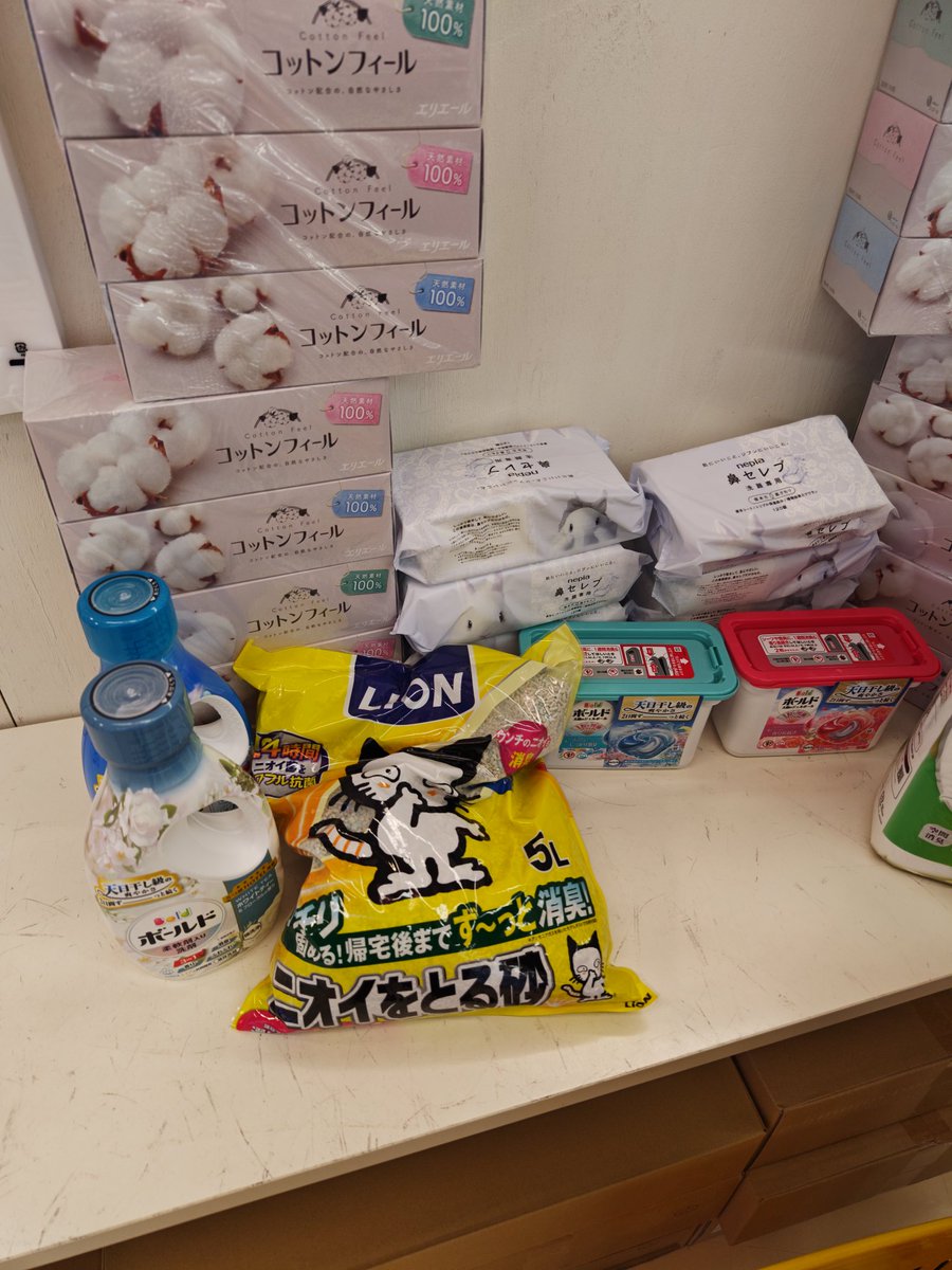 佐々倉 桜 tweet media