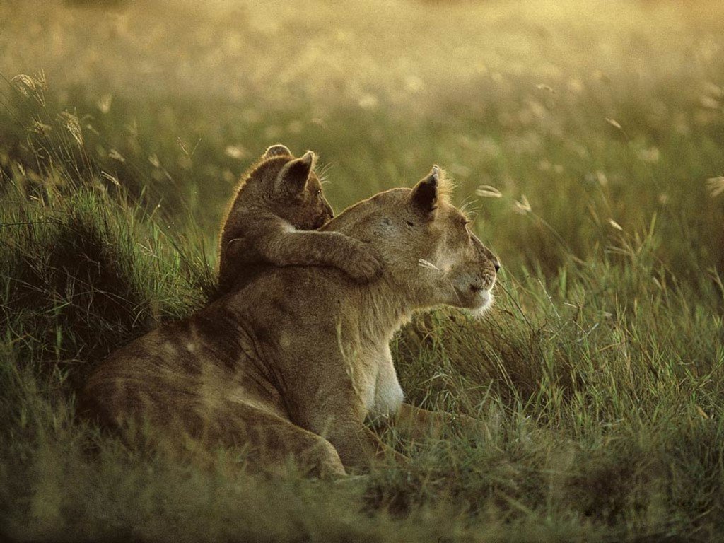 MorganElMago's tweet photo. Todo lo noble que hay en mí lleva, de algún modo, tu nombre.

#FelizDiaDeLaMadre 
#HoyTambiénMeAcordéDeTi https://t.co/6NlOE7axuD