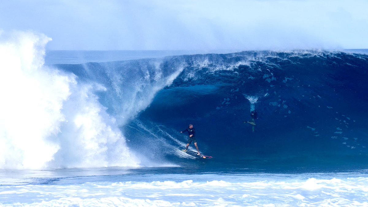 Nathan Florence tweet media