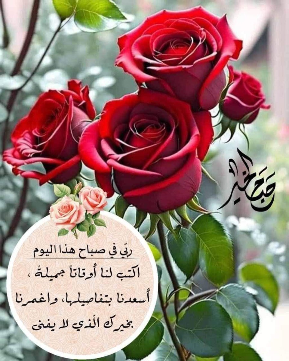 meesa85's tweet photo. اللهم إنا نسألك من فيض جودك أن تغمر قلوبنا بسكينة لا تشقى بعدها أبداً، وأن تجعل بيوتنا واحاتٍ للأنس والسعادة، وأبداننا موفورة بالعافية، وحياتنا مكللة بالتوفيق والسداد. اللهم احفظ أوطاننا بحفظك، وأسبغ علينا نِعمك ظاهرة وباطنة، واجعل الابتسامة رفيقة وجوهنا، والنور سبيلاً لدروبنا. اللهم اغفر لنا ولوالدينا وللمسلمين أجمعين، واجعلنا ممن شملتهم برحمتك وعفوك.
#صباح_الخير_والسعادة