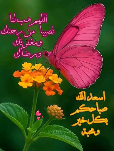 الص.مت 🌹 tweet media