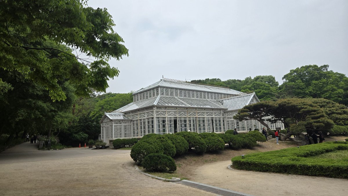 도리 tweet media