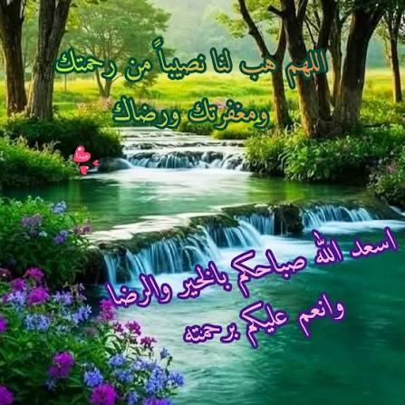 الص.مت 🌹 tweet media
