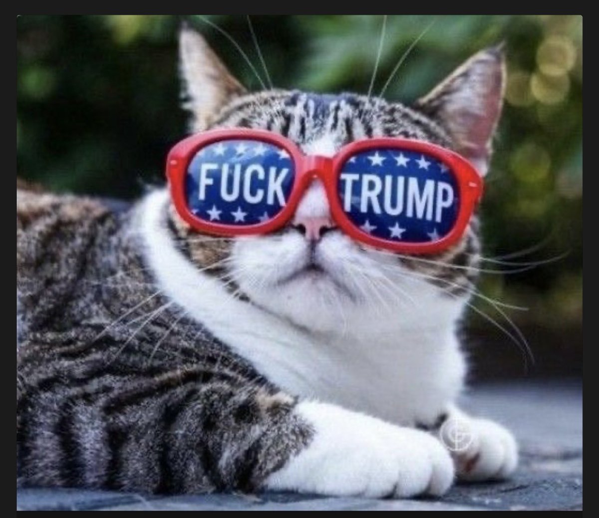MAGAt Spooker tweet media