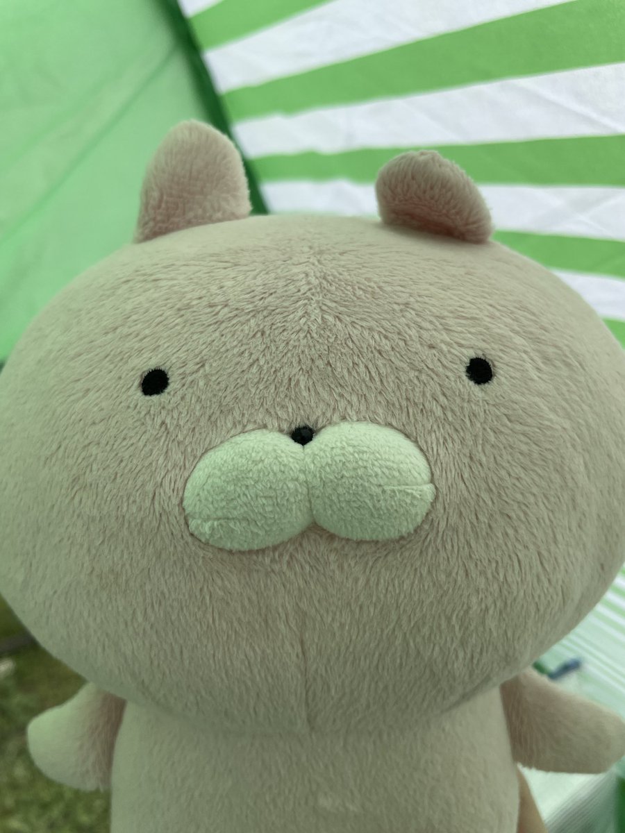 彩のうちゃこちゃん tweet media