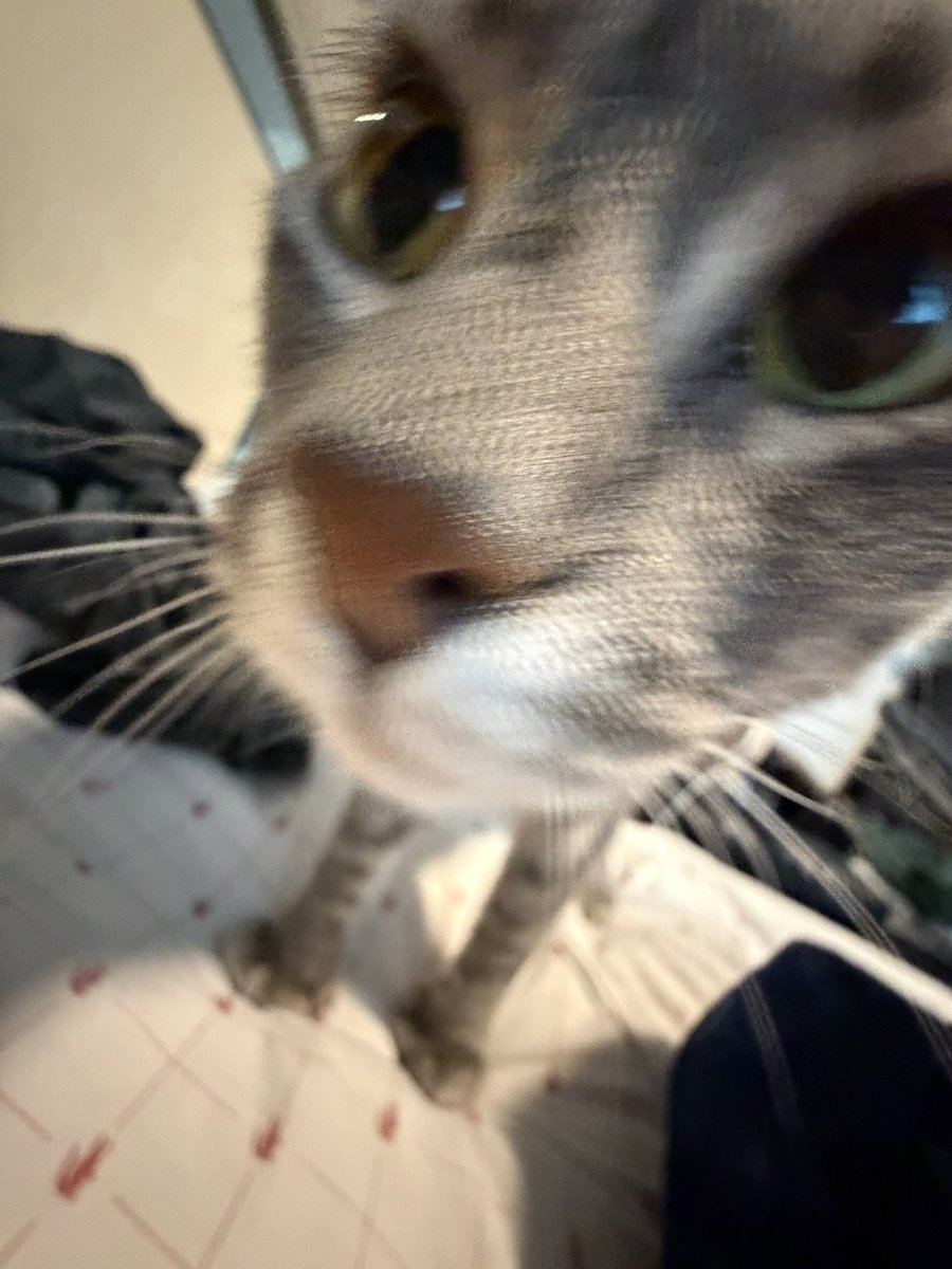 jenny tweet media