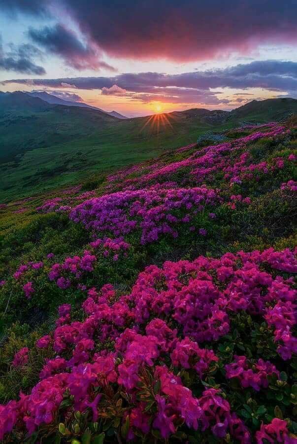 Asalam O Alikum 
good morning 💐 🍃 🌞

Stay connected 🔁
