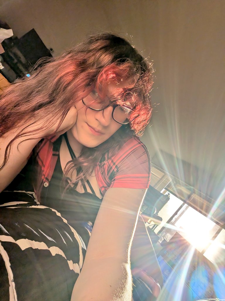 Grace 😺🏳️‍⚧️ tweet media