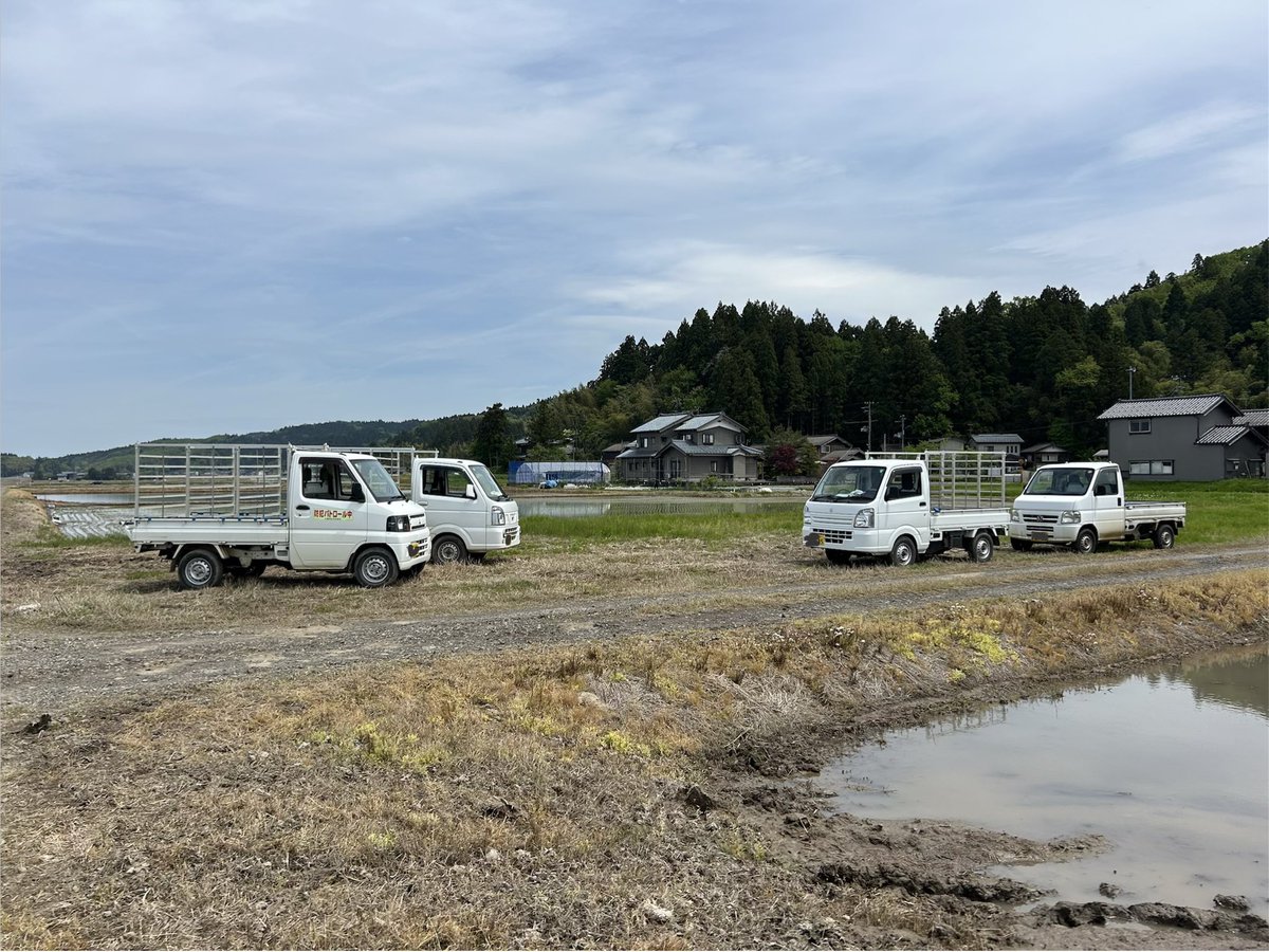 どうも(麺)(車) tweet media