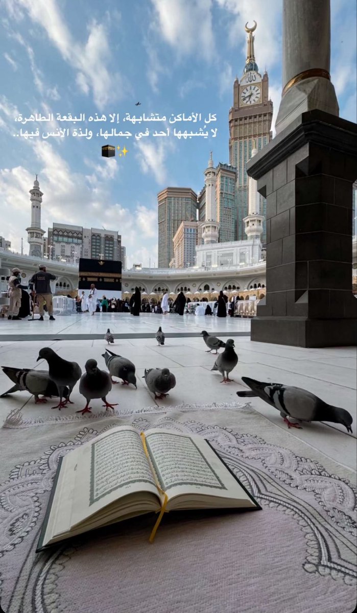 بيـاض الغـيـم☁️ tweet media