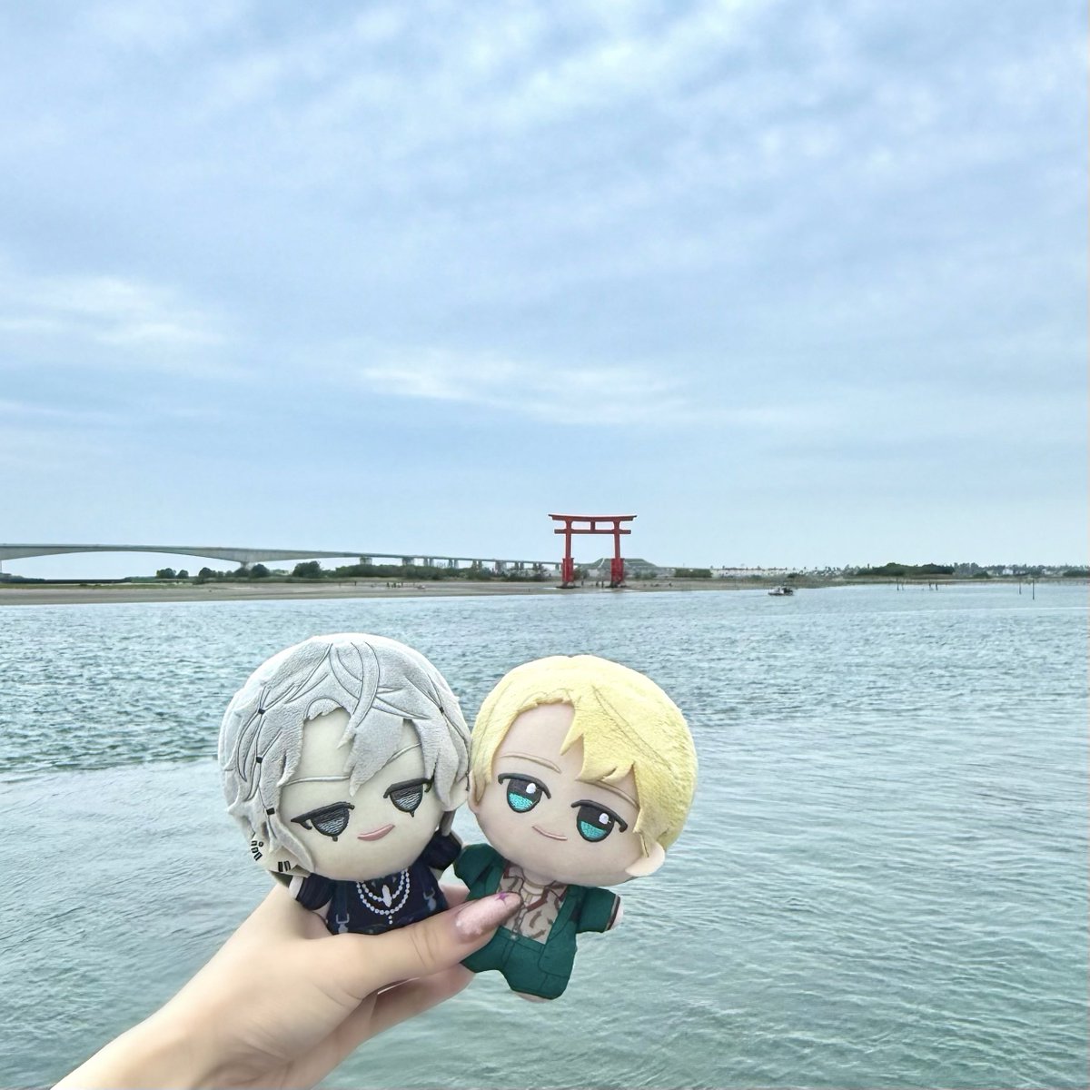 プリモありがとう tweet media