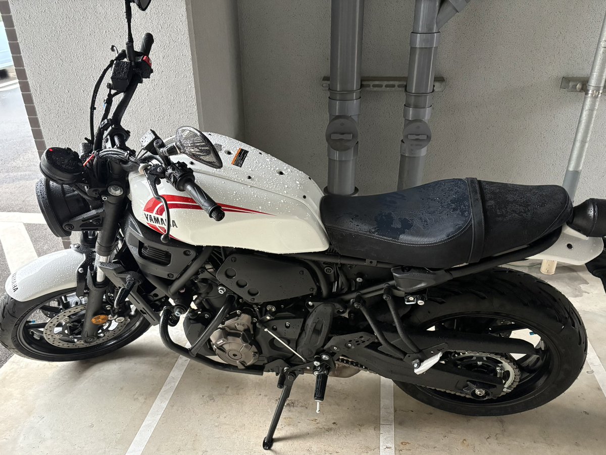 MLeok_07's tweet photo. xsr700が来ました🏍️
どこへでも行けます https://t.co/Egmo5B8ksN