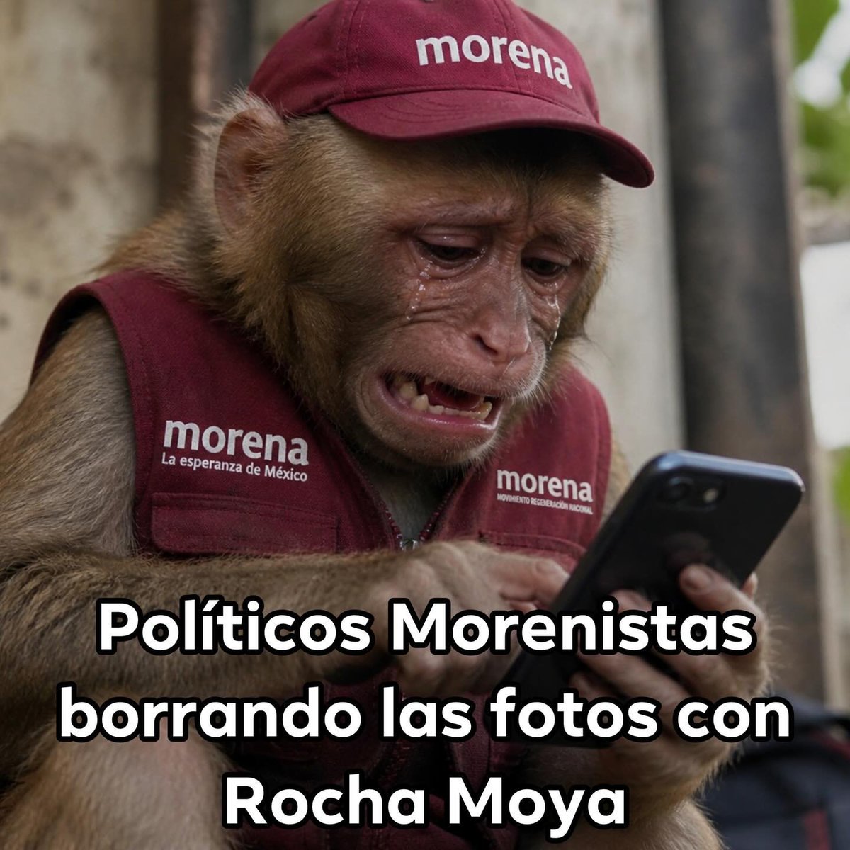 Padre Santo tweet media