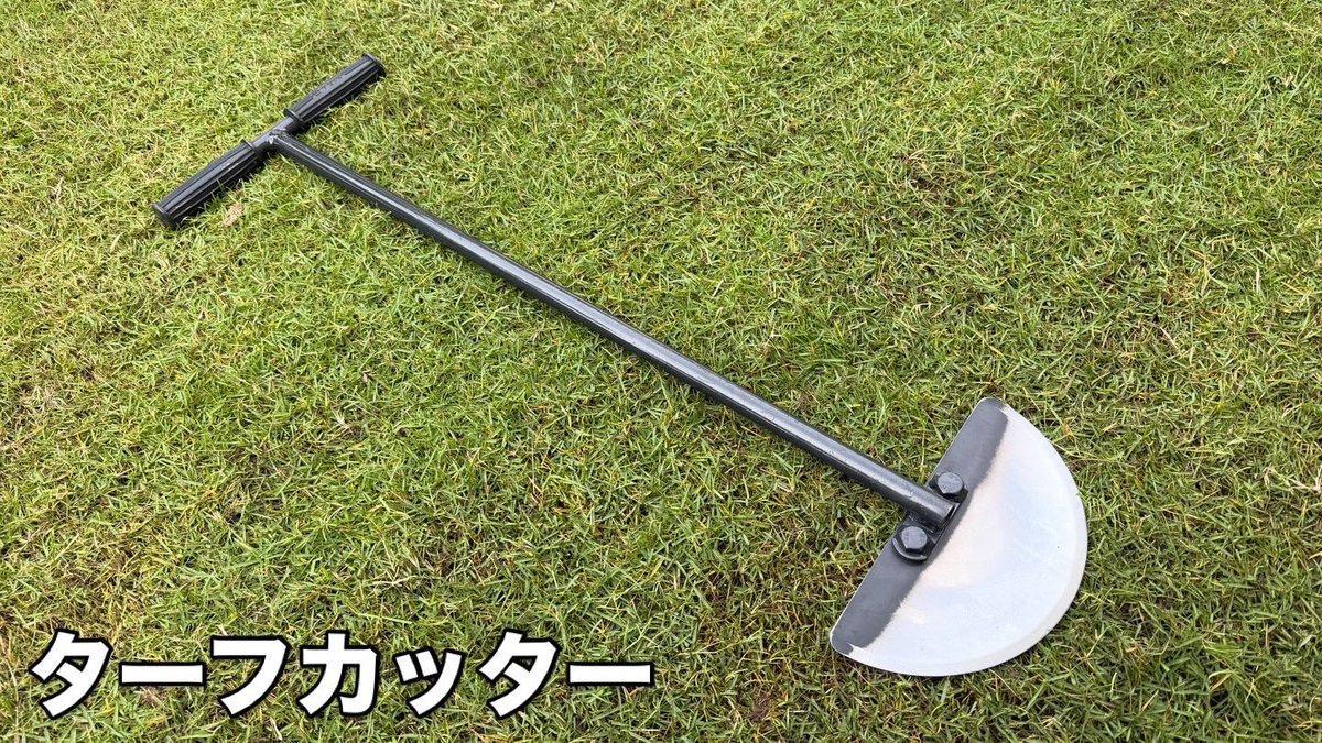芝生の雑学 東京40まいる tweet media