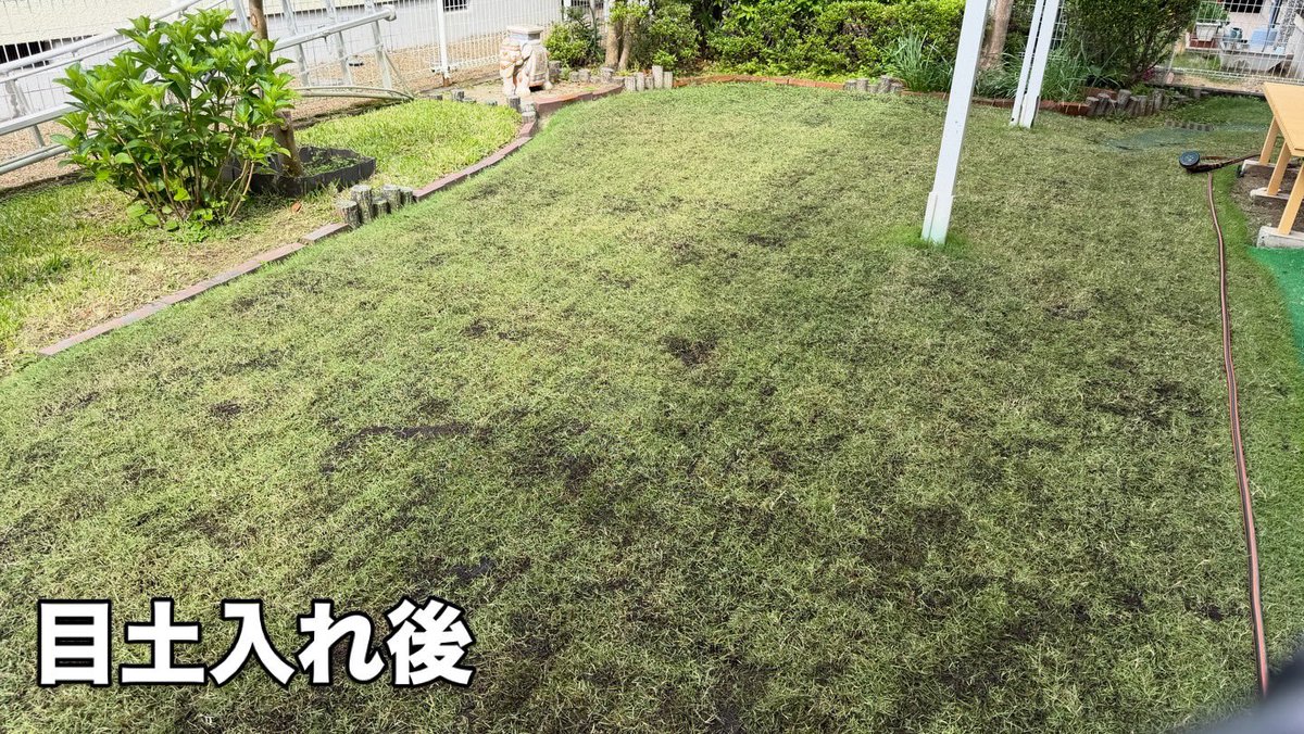 芝生の雑学 東京40まいる tweet media