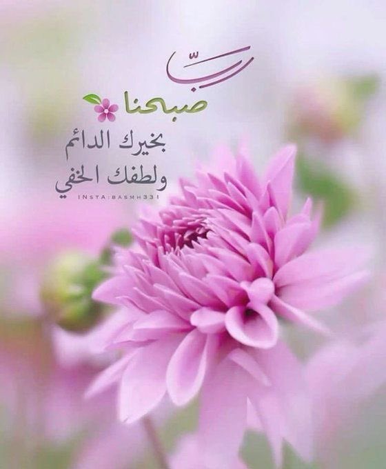 םــٌـــلاڪ tweet media